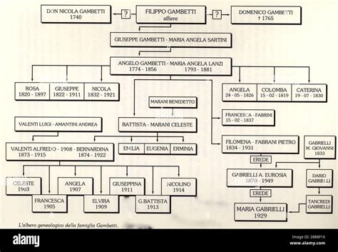 Albero genealogico calcistico della famiglia Pellegrino