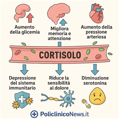 Schema che mostra i livelli di cortisolo e il rischio cardiaco