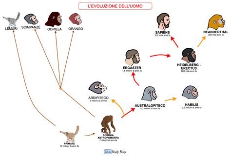 Grafico che mostra l'evoluzione dei personaggi principali