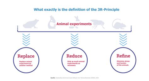 Infografica sui principi delle 3R: Replacement, Reduction, Refinement