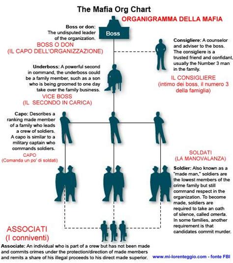Infografica sulla struttura di un clan mafioso