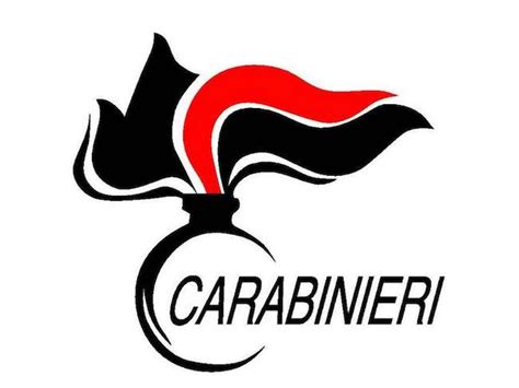 Logo dell'Arma dei Carabinieri