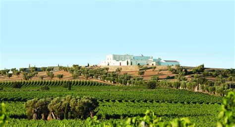 Puglia wine tour