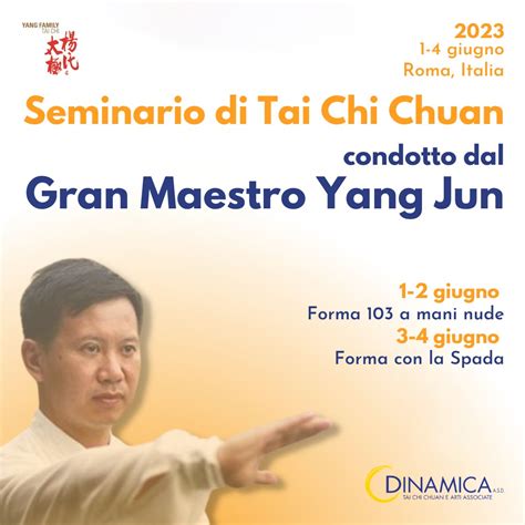 Maestro Yang Jun che dimostra una forma di Tai Chi