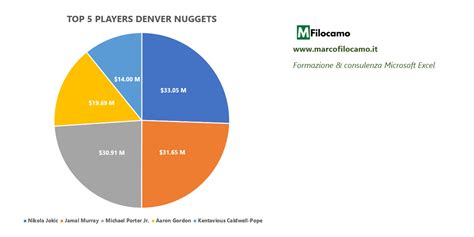 Grafico a torta che mostra la distribuzione dei servizi demografici