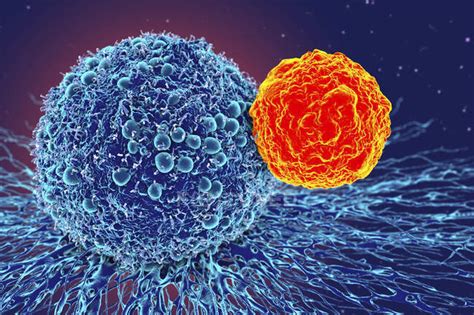 Illustrazione schematica di una cellula tumorale e di un farmaco che agisce su di essa