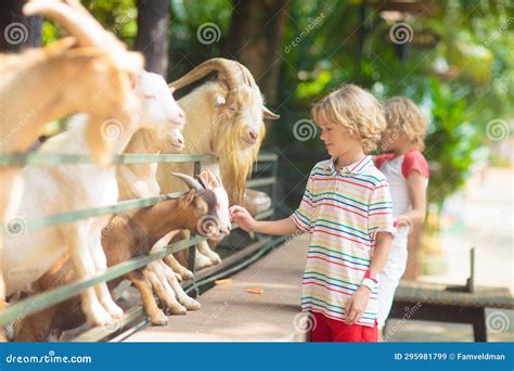 Bambini che danno da mangiare agli animali nella fattoria