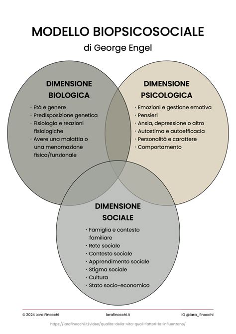 Schema del modello TOBIA-DAMA