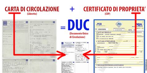 Documento di aggiornamento posizione tesserato