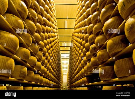 Processo di stagionatura del Parmigiano Reggiano