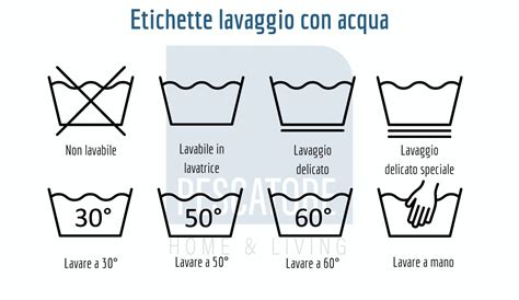 Infografica sui diversi tipi di lavaggio auto