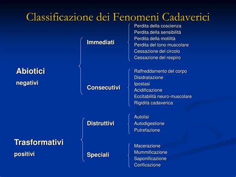 Schema dei fenomeni cadaverici post-mortem
