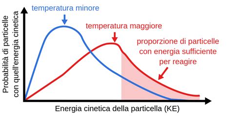 Grafico che illustra l'influenza della temperatura sulla velocità del rigor mortis