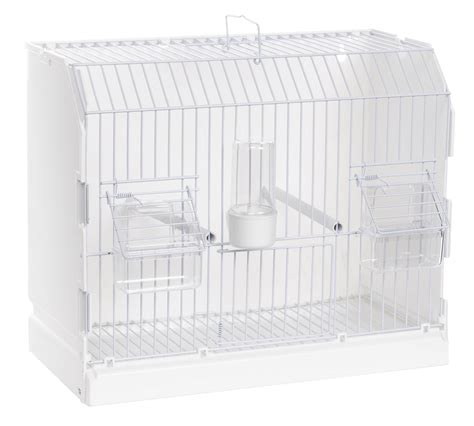 Scheda di giudizio allegata a una gabbia da esposizione