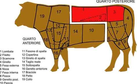 Taglio di una bistecca alla fiorentina che mostra filetto e controfiletto