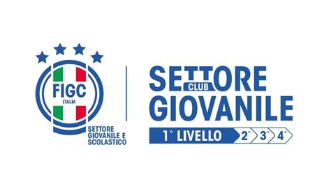 Regolamento e autorizzazione FIGC per tornei giovanili