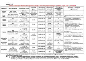 Schema delle categorie giovanili FIGC