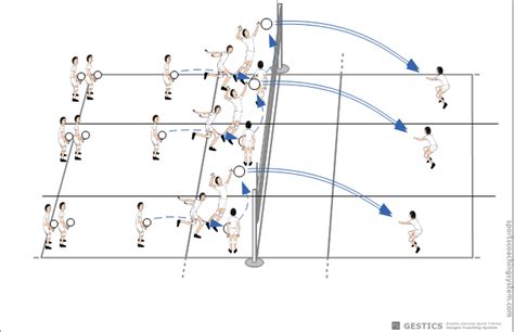 Grafico con statistiche di pallavolo: attacco, servizio, muro