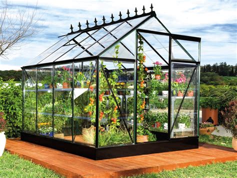 Serra con fiori e piante rigogliose