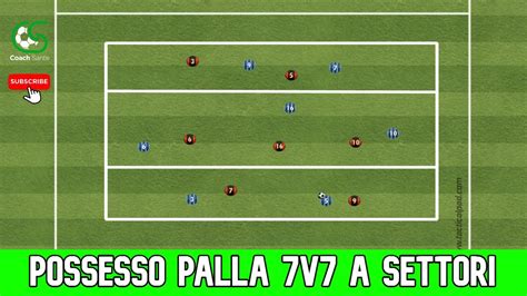 Statistiche di possesso palla nel calcio