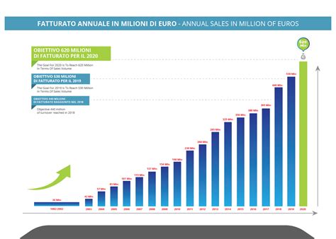 Infografica: Crescita del fatturato di Brandsdistribution.com