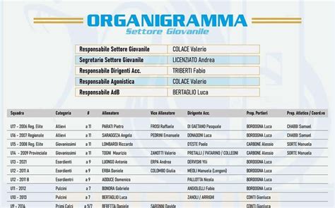 Organigramma semplificato del settore giovanile della Juventus