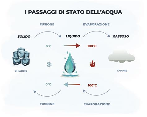 Grafico che illustra i passaggi di un atleta da un'ASD a un'altra, evidenziando il premio di formazione