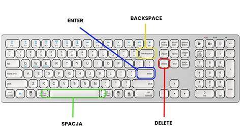 Uso del mouse e della tastiera per principianti