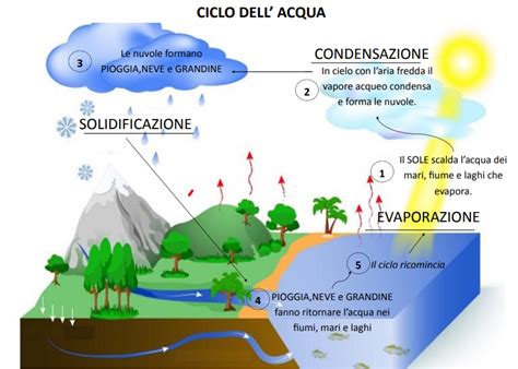 Schema del ciclo del calcare nell'acqua