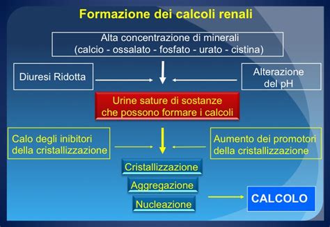 Schema della formazione dei calcoli renali