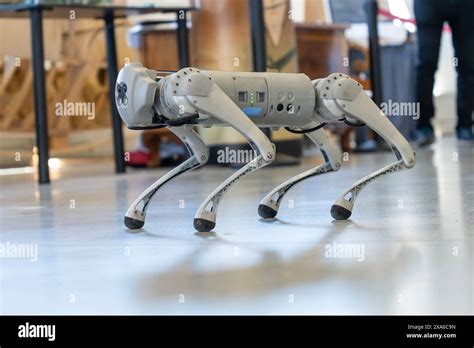 Robot in azione durante una dimostrazione