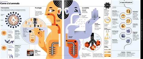 Infografica con i diversi tipi di test allergologici