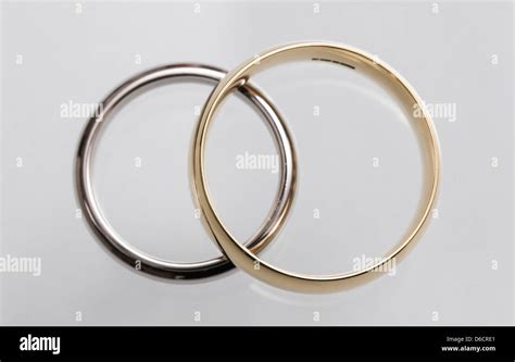 Rendering del progetto 