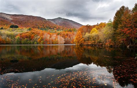 Paesaggio montano del Parc Natural del Montseny