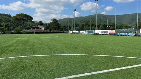 Dettaglio iper-realistico di un campo da calcio in FIFA 23