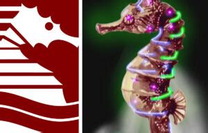 Simbolo Salernitana cavalluccio marino