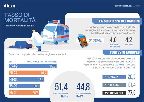 Infografica sui tipi di dati ricercabili nella Camera di Commercio